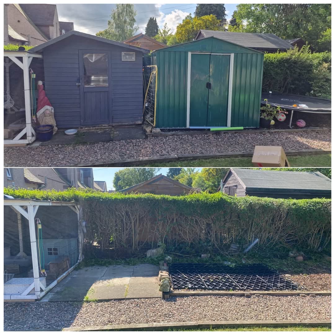 Shed Removal before and after